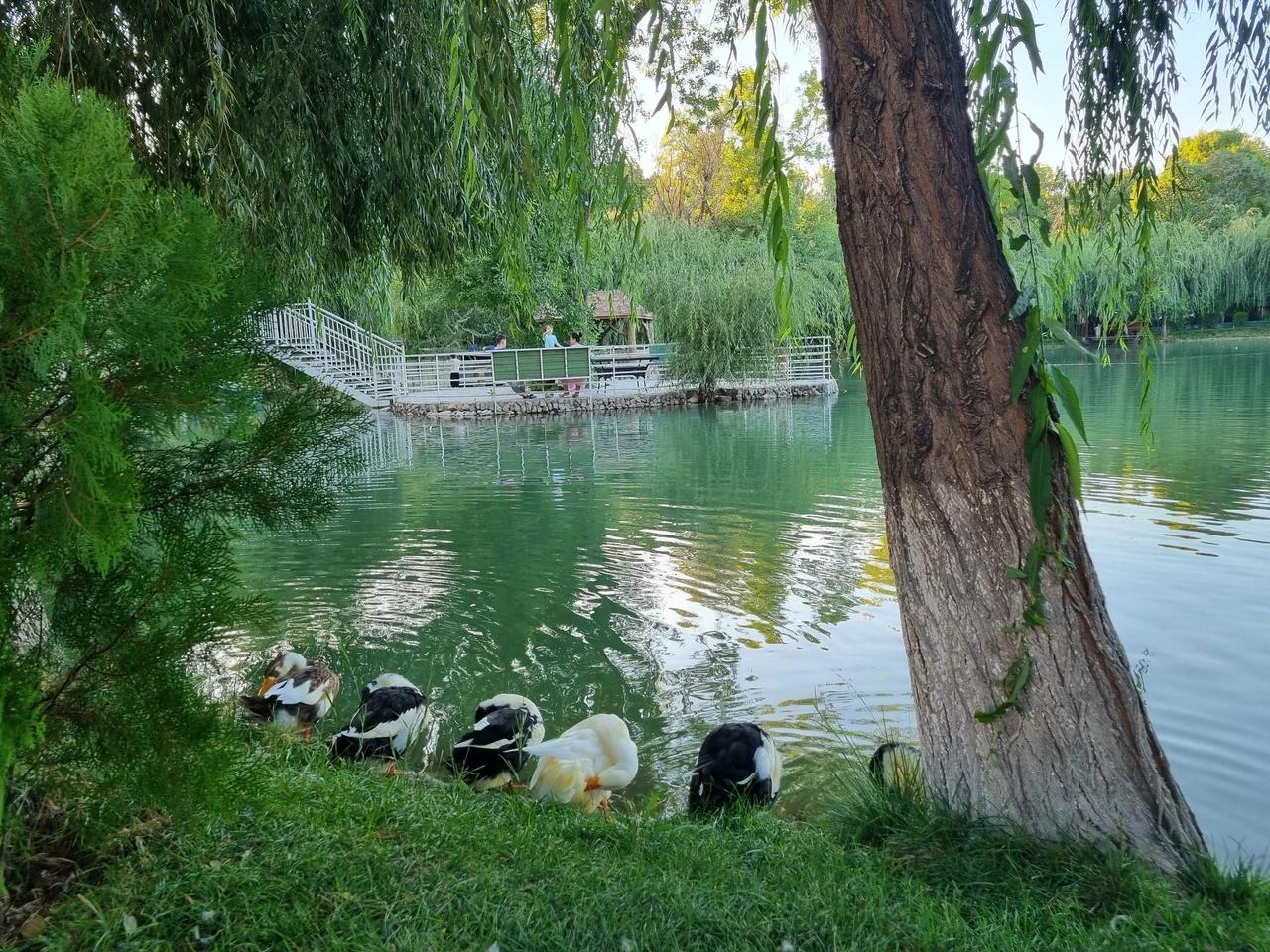 Парк культуры и отдыха имени Фурката